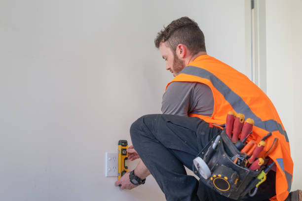 Best Electric Panel Repair  in Greenville, GA